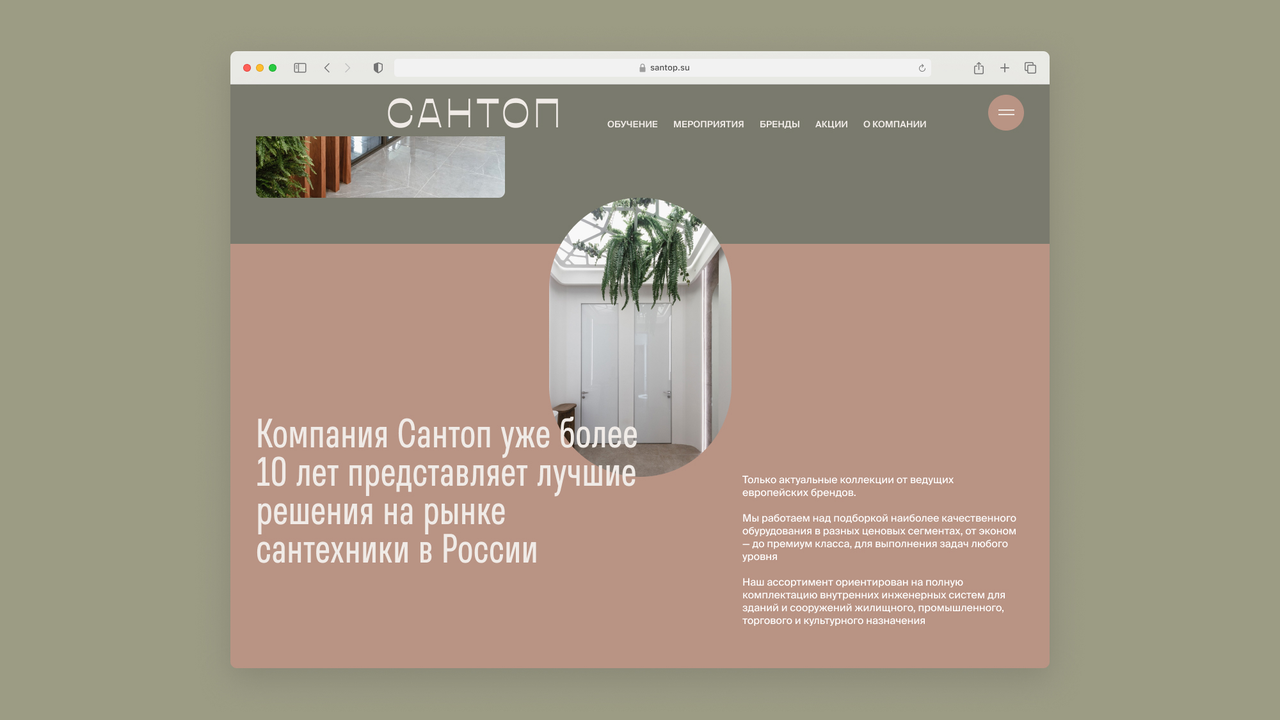 Концепция сайта и айдентики Сантоп